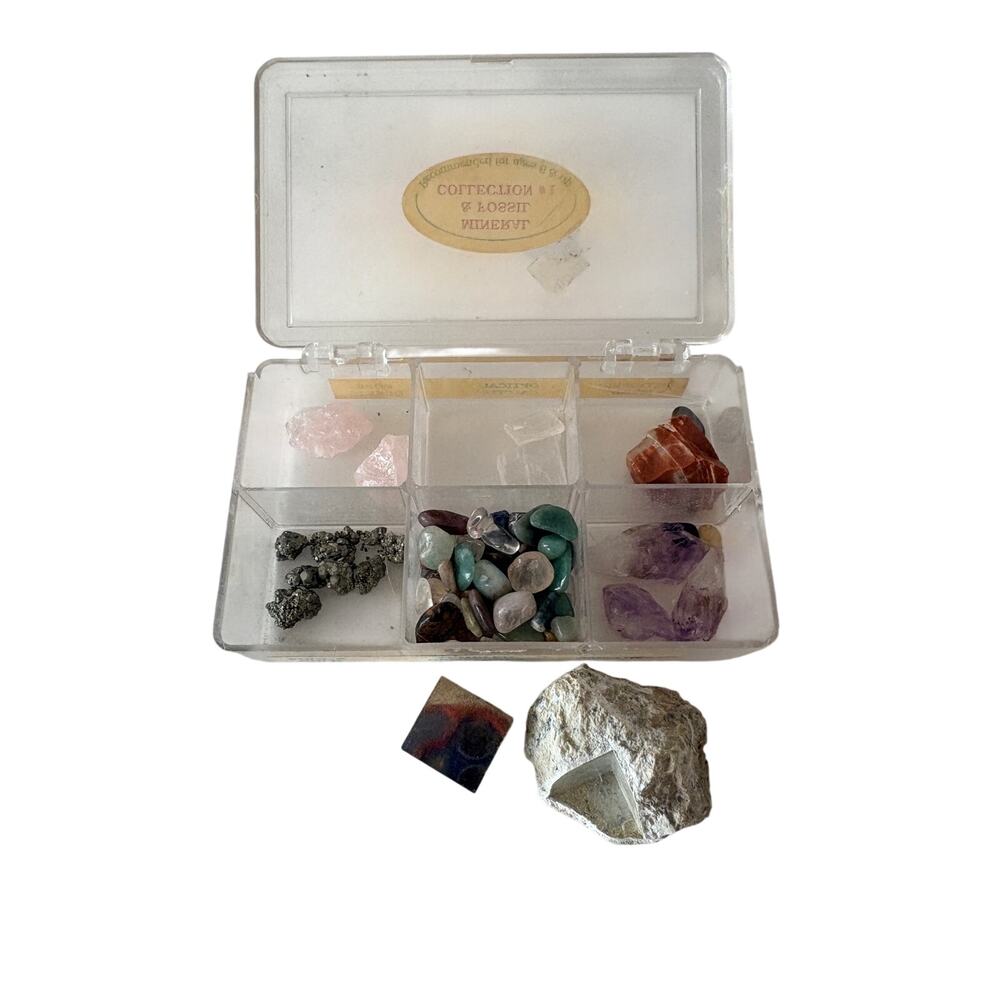 Vintage Mineral & Fossil Collection #1 Gemstone Rock Specimen Set plus 2